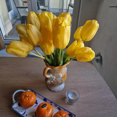 Apartment Stadtnah Fuer 1-2 Personen Koblenz (Rhineland-Palatinate)